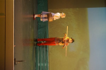 The Wizard of Oz (ref: 1080)