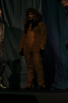 The Wizard of Oz (ref: 1113)