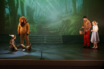 The Wizard of Oz (ref: 254)