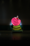 Seussical Jr (ref: 2784)