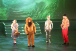The Wizard of Oz (ref: 311)