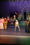 The Wizard of Oz (ref: 342)