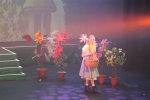 The Wizard of Oz (ref: 429)