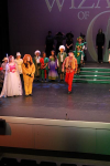 The Wizard of Oz (ref: 677)