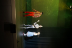 The Wizard of Oz (ref: 799)