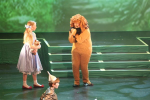 The Wizard of Oz (ref: 859)