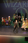 The Wizard of Oz (ref: 879)