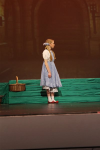 The Wizard of Oz (ref: 952)
